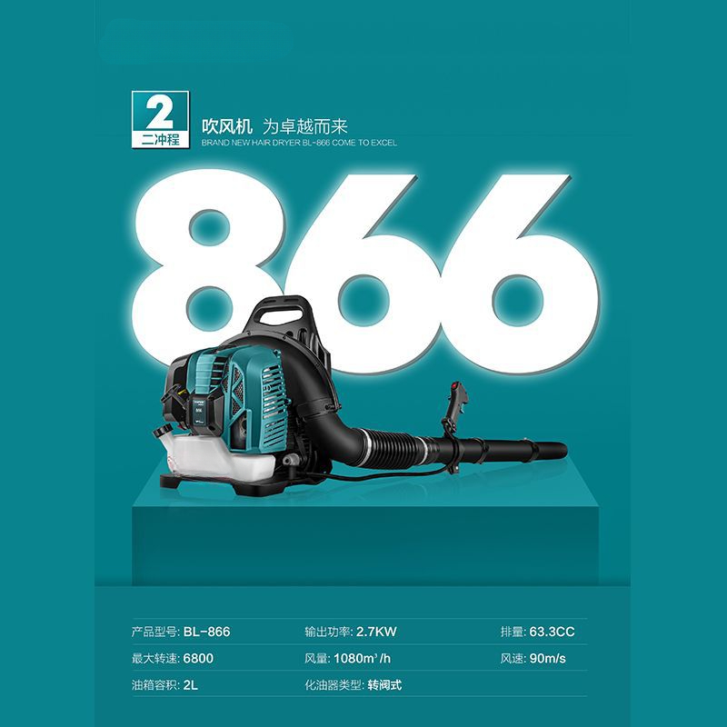 Two-stroke backpack hair dryer - đánh giá và giá Backpacks